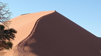 Sanddüne in der Namib-Wüste
